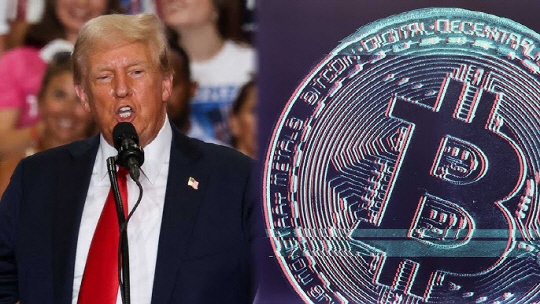 [연합뉴스 제공]